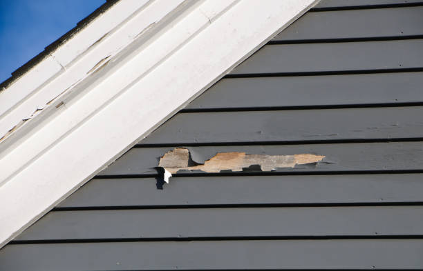 Affordable siding repair and maintenance services in North Royalton, OH